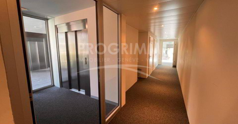 null rooms Office & Commercial for rent in Geneva - image 1/7