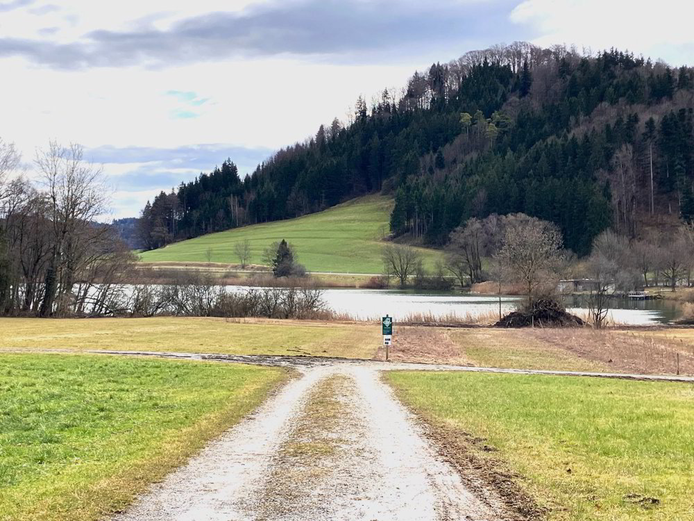 5 Zimmer Haus zum verkaufen in Turbenthal - Bild 1/7