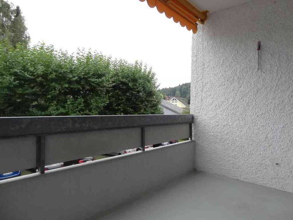 Appartamento di 2.5 locali in affitto a Erlinsbach SO - immagine 1/3