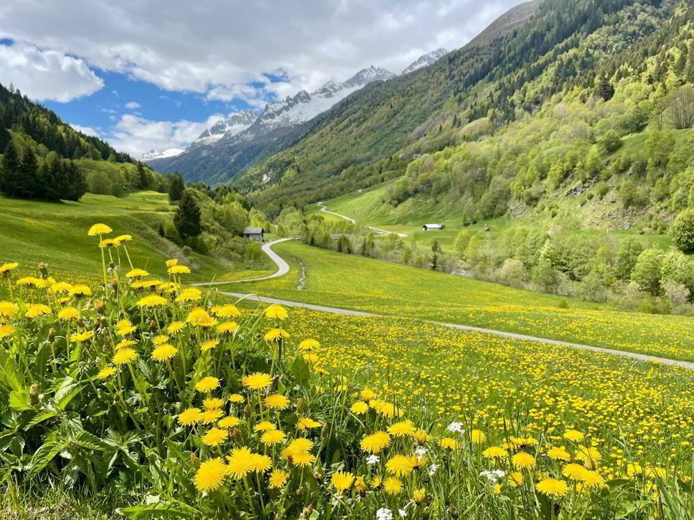 4.5 rooms House to buy in Airolo - image 1/11