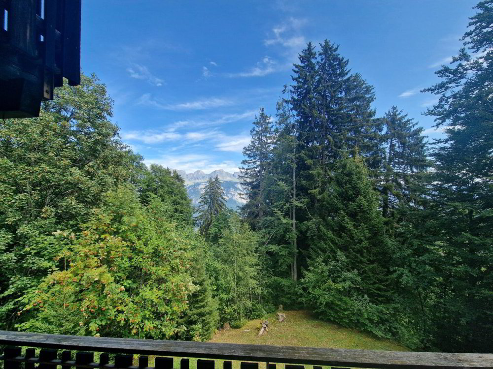 6.5 rooms House to buy in Flumserberg Tannenheim - image 1/26