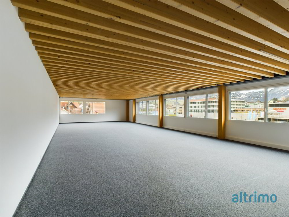 Raum für Ideen, Erfolg und Wachstum - Flexible Gewerbeflächen in Appenzell - Ansicht 2