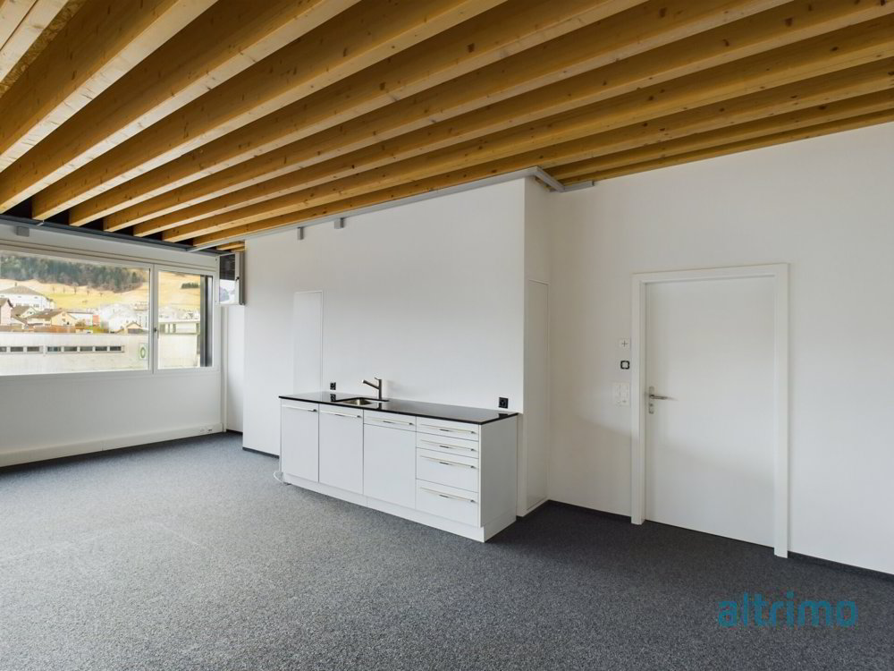 Raum für Ideen, Erfolg und Wachstum - Flexible Gewerbeflächen in Appenzell - Ansicht 3