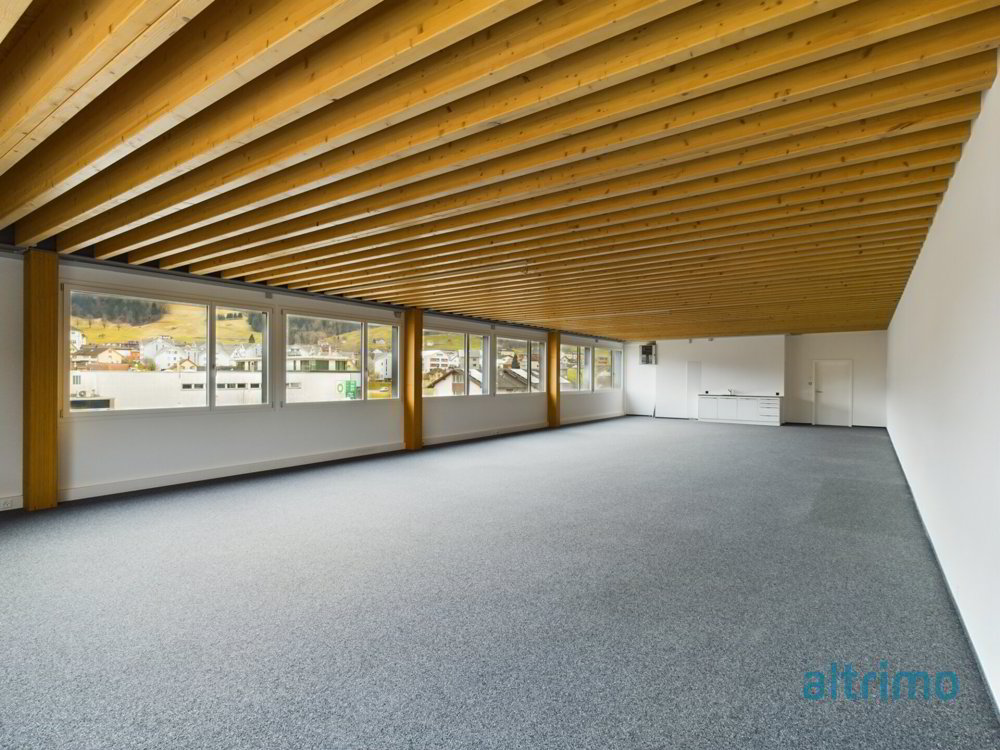 Raum für Ideen, Erfolg und Wachstum - Flexible Gewerbeflächen in Appenzell - Ansicht 4