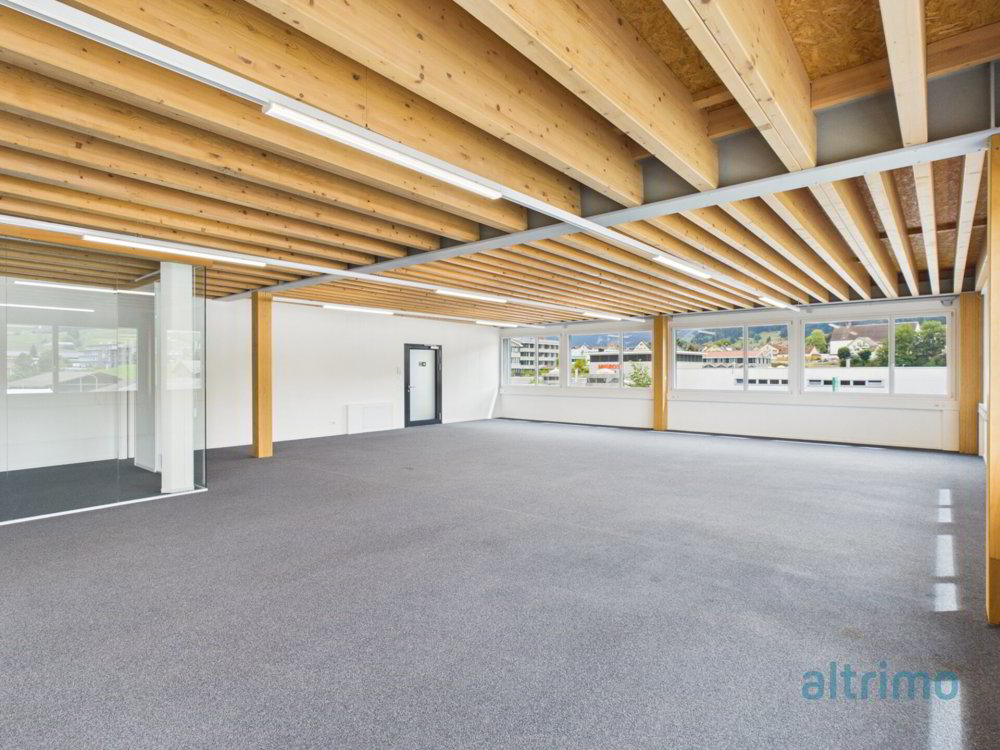 Raum für Ideen, Erfolg und Wachstum - Flexible Gewerbeflächen in Appenzell - Ansicht 5