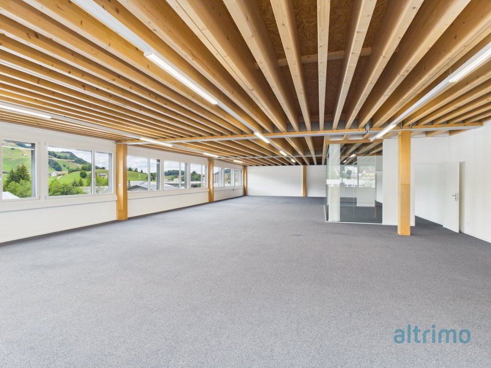 Raum für Ideen, Erfolg und Wachstum - Flexible Gewerbeflächen in Appenzell - Mehr