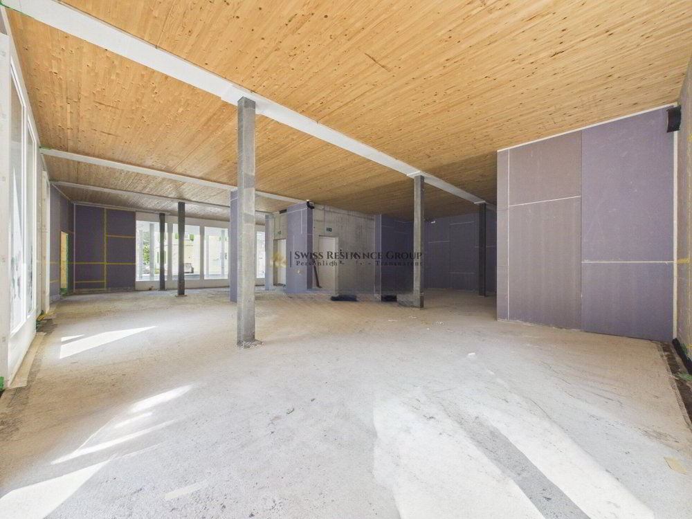 1 rooms Office & Commercial to buy in Ibach - image 1/8