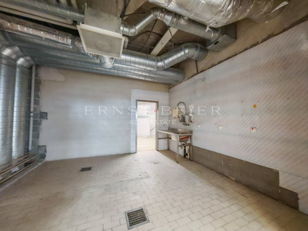 5 rooms Office & Commercial to buy in Les Diablerets - image 1/6