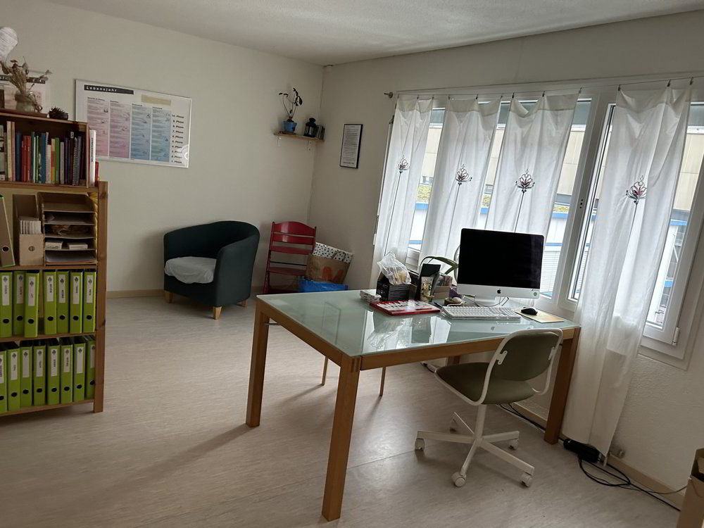 Commercial to rent in Luzern - Ansicht 5