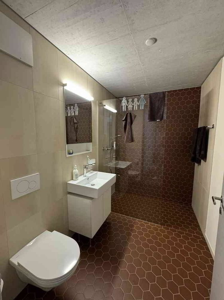 Appartement 1.5 pièces à louer à Zürich - image 1/4