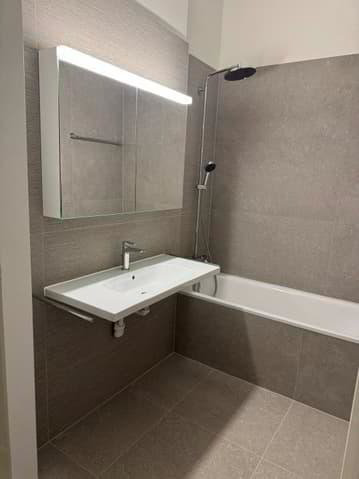 5 Zimmer Wohnung zu vermieten in Lausanne - Bild 1/13
