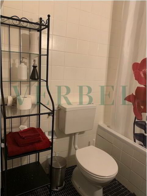 1 Zimmer Wohnung zu vermieten in Genf - Bild 1/6