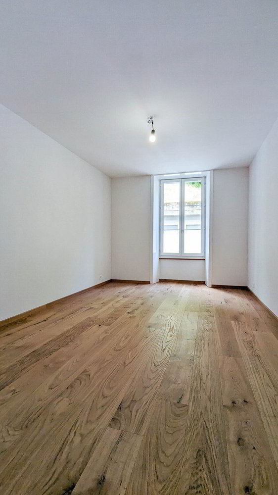 Appartamento di 4.5 locali in affitto a Charmey (Gruyère) - immagine 1/18
