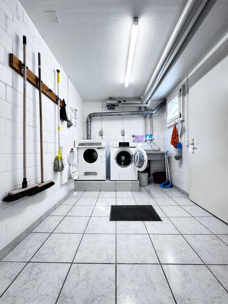4.5 Zimmer Wohnung zu vermieten in Zullwil - Bild 1/26