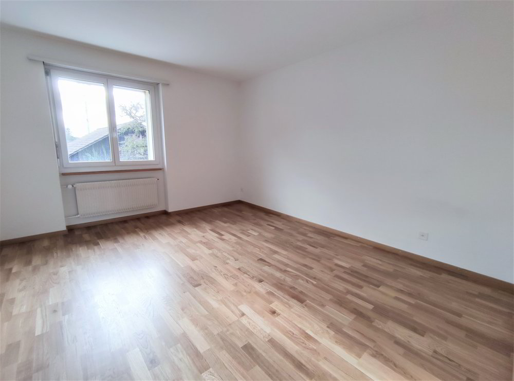 3 Zimmer Wohnung zu vermieten in Schaffhausen - Bild 1/6