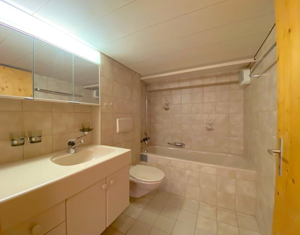 3.5 Zimmer Wohnung zum verkaufen in Realp - Bild 1/13