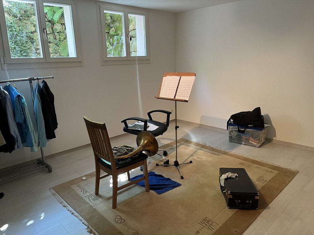 Casa di 8 locali in vendita a Pratteln - immagine 1/15