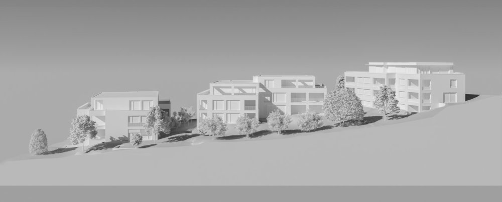 Appartement 4 pièces à acheter à Bottmingen - image 1/13