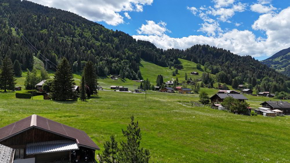 2 Zimmer Wohnung zum verkaufen in Les Diablerets - Bild 1/13