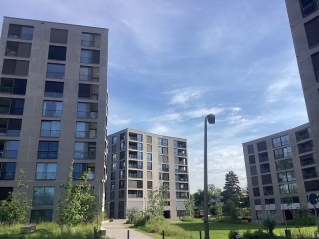 2 Zimmer Wohnung zu vermieten in Allschwil - Bild 1/1