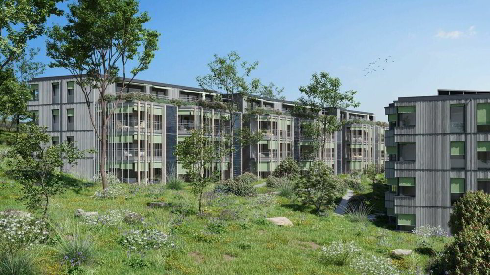 Wohnung – Zürich, Gewerbeschule, Industriequartier - Ansicht 3