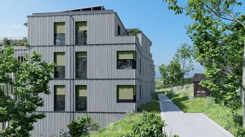 Wohnung – Zürich, Gewerbeschule, Industriequartier - Mehr
