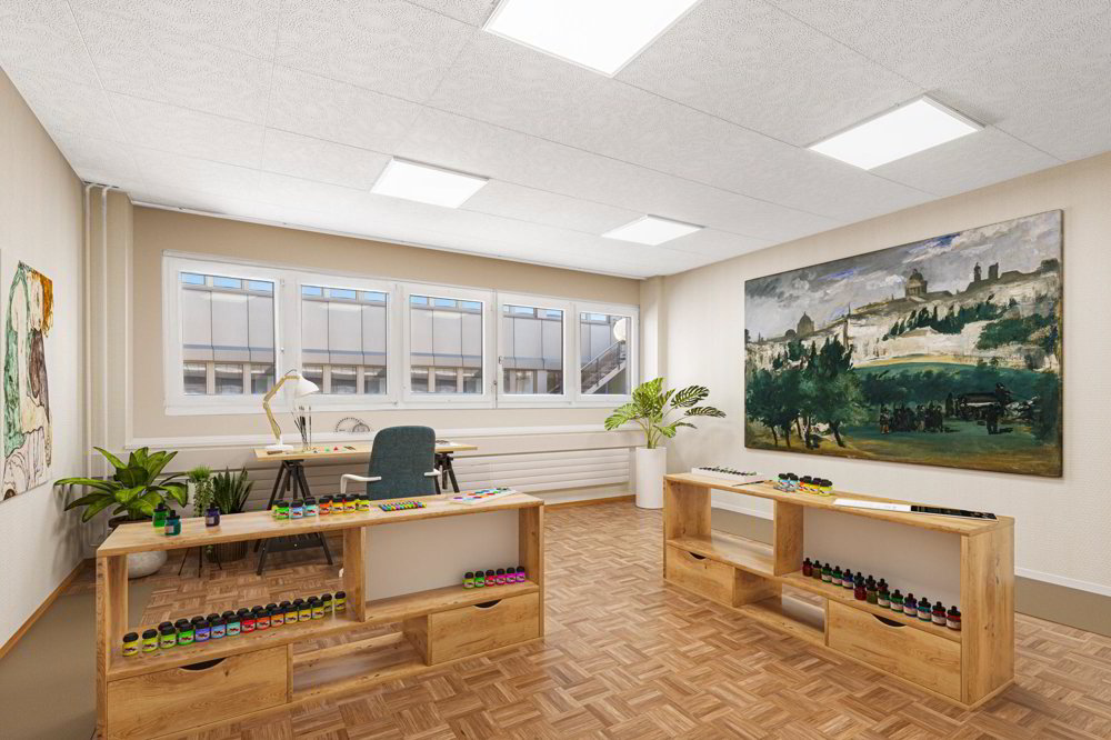 Ihr Homeoffice oder Atelier mit einem unschlagbaren Preis-Leistungs-Verhältnis befristet bis 31.12.2028 - Ansicht 3