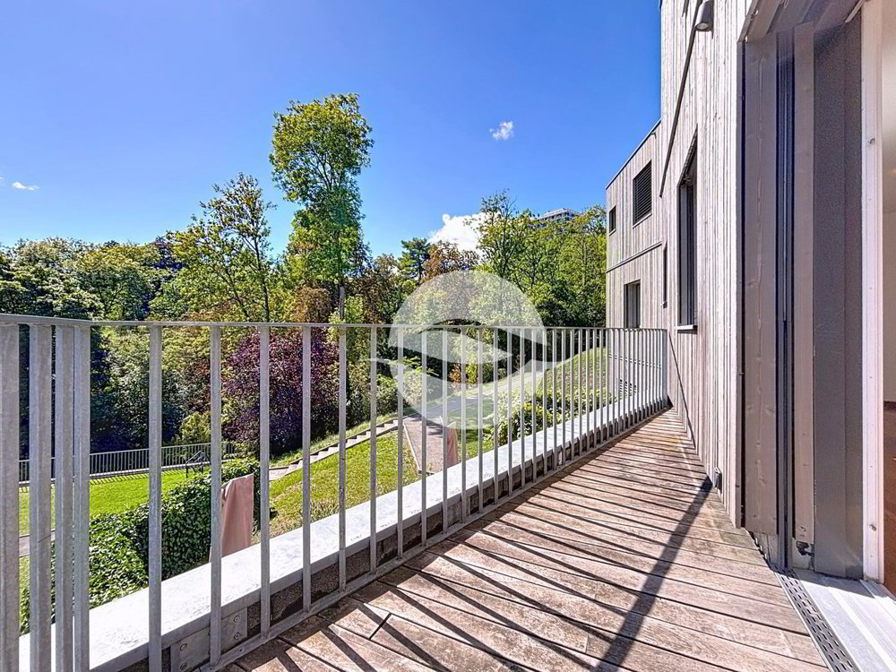 4 rooms Apartment for rent in Petit-Lancy - image 1/11