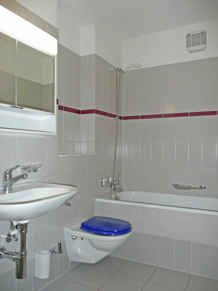 Appartement 2 pièces à louer à Zürich - image 1/6
