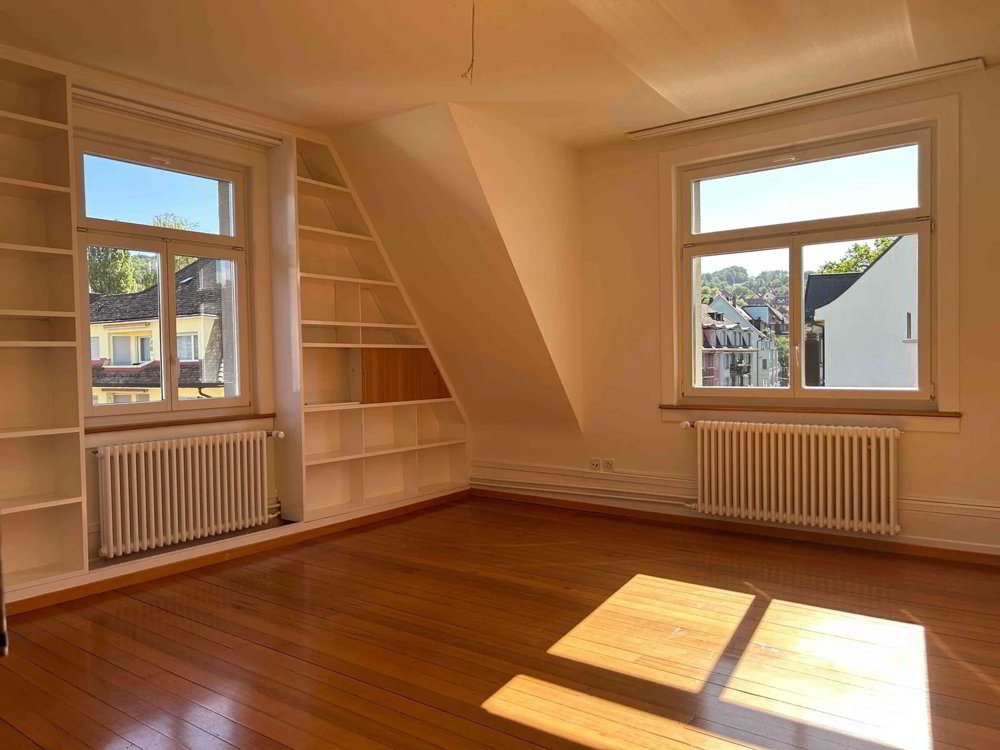 Wohnung in nächster Nähe der Spitäler Balgrist und dem Kinderspital, Zürich