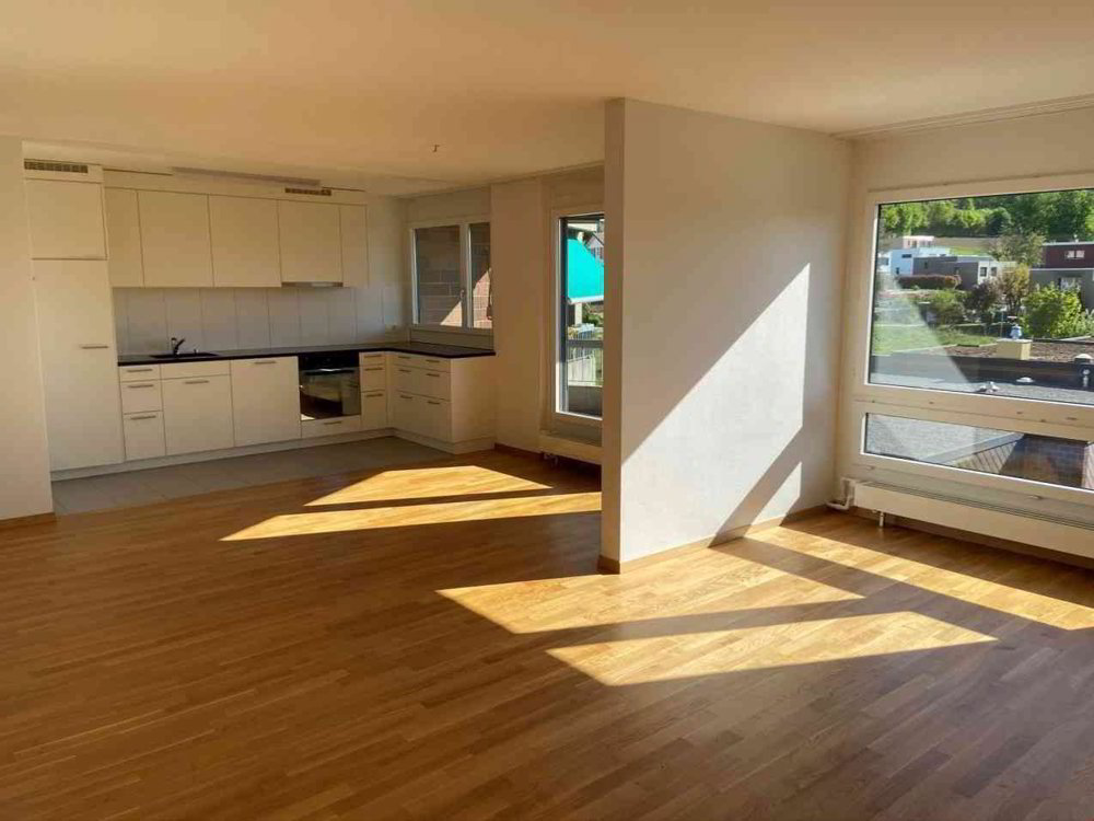 Wohnung – Olten, Amtei Olten-Gösgen