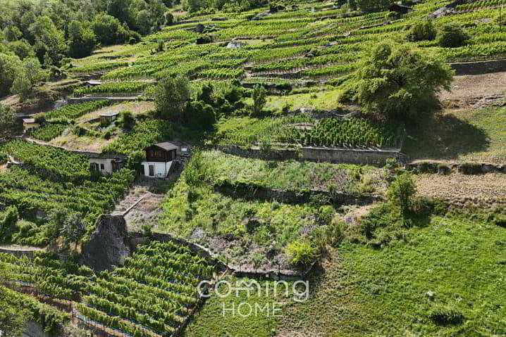 Rebparzelle mit Rebhaus in Stalden - Weinbau im Vispertal - Ansicht 2