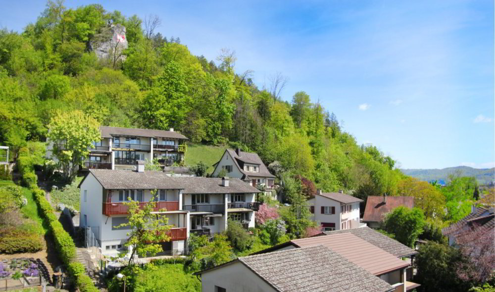 Casa di 4.5 locali in vendita a Liestal - immagine 1/15