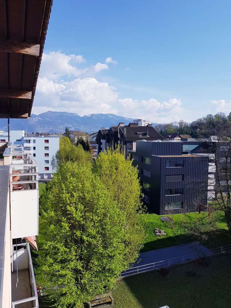 4.5 Zimmer Wohnung zu vermieten in St. Margrethen SG - Bild 1/9