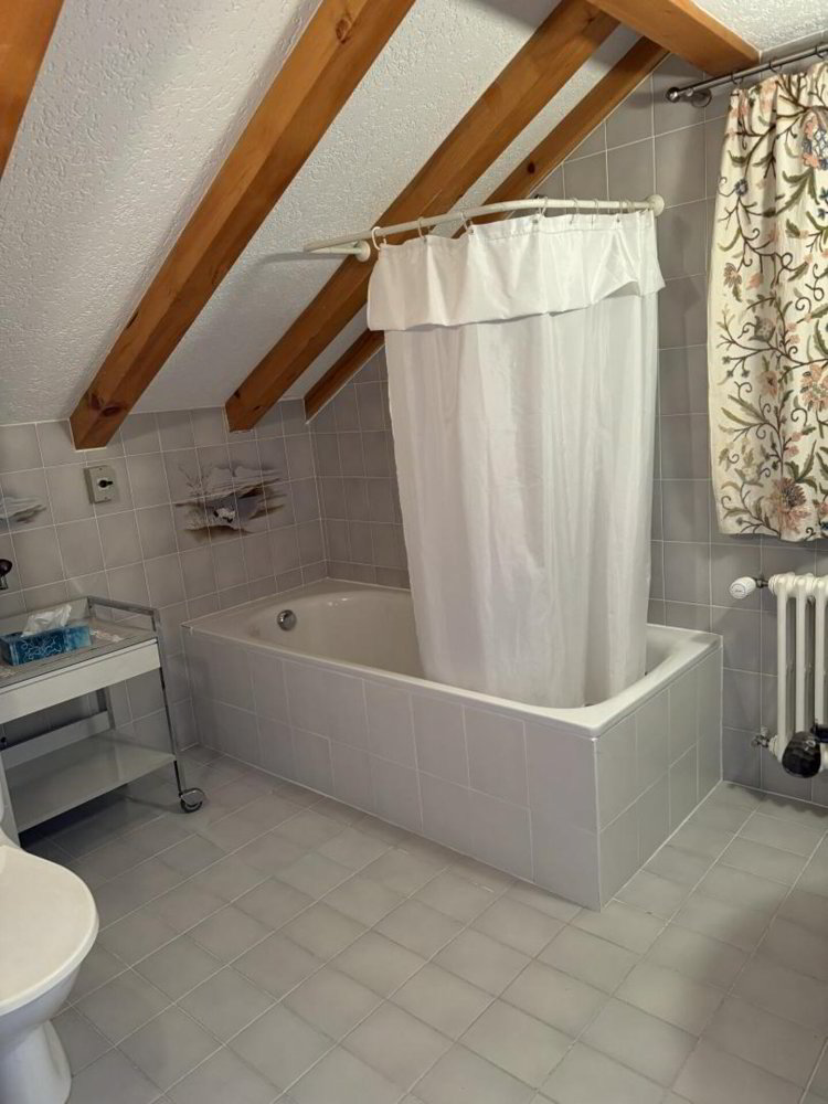 2.5 Zimmer Wohnung zu vermieten in Arveyes - Bild 1/5