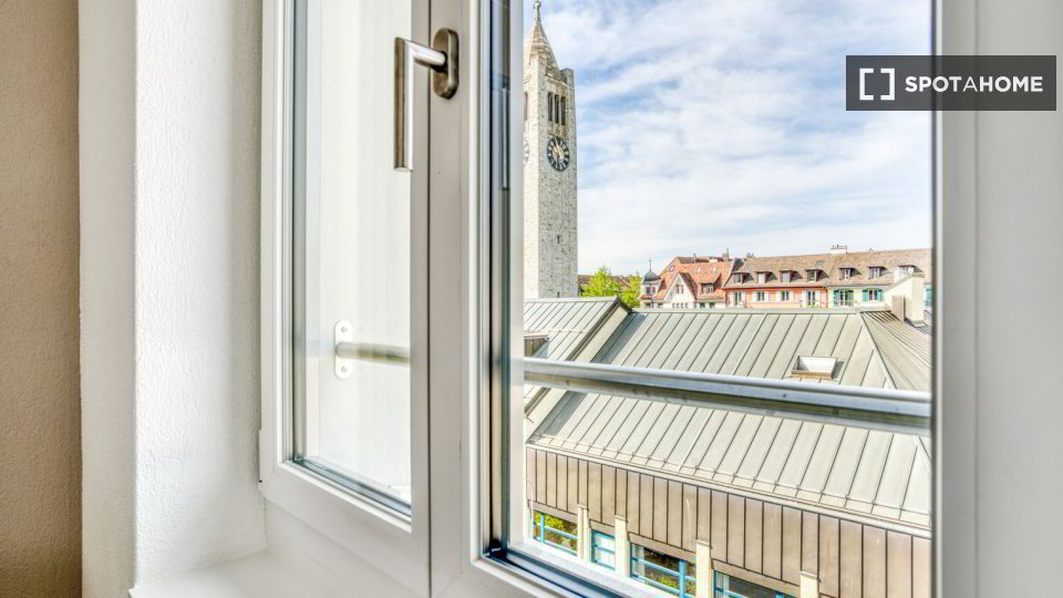 1 rooms Apartment for rent in Zürich - image 1/9