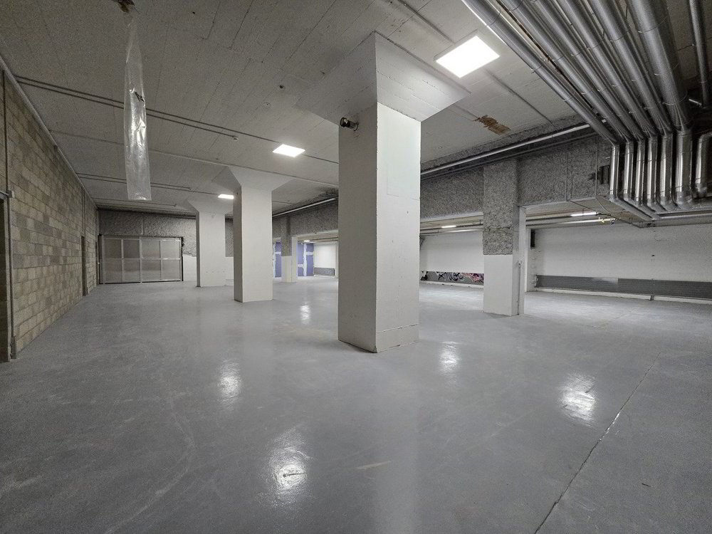 Grand dépôt 295 m² - Excellente situation - Blécherette - Ansicht 2