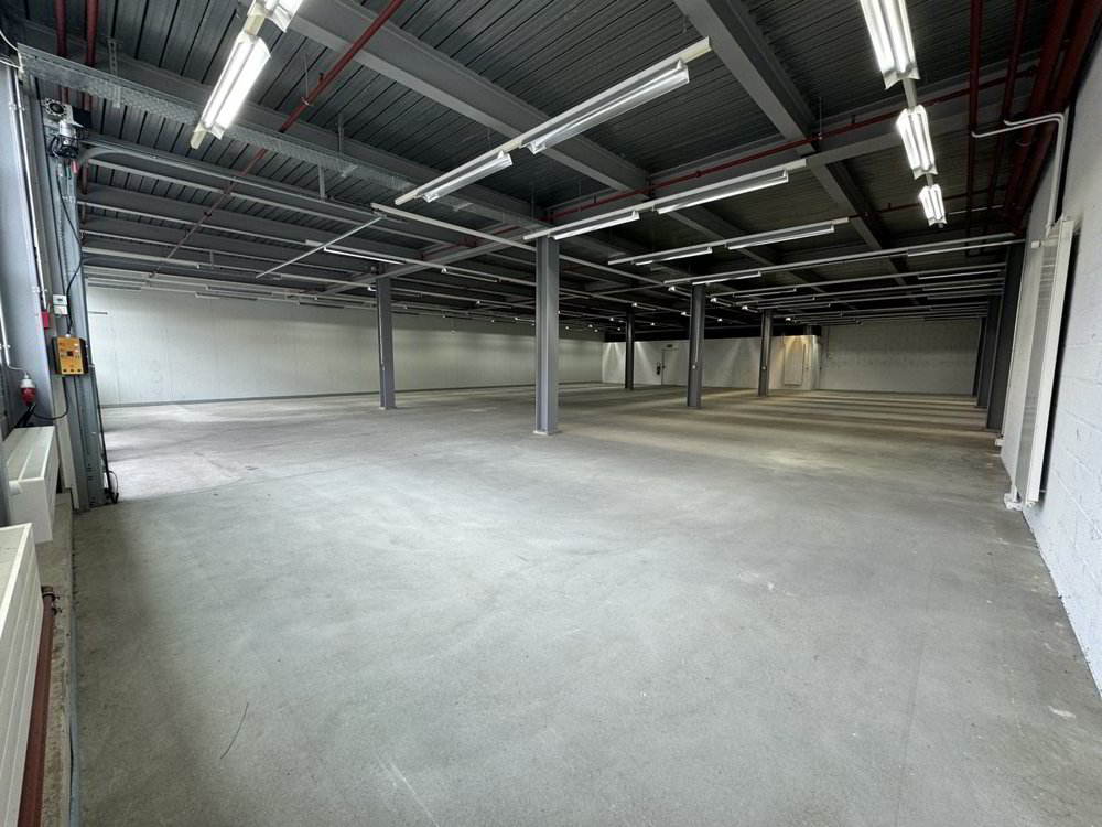 Opportunité - ZI Champ-Colin - belle surface de 507 m² (3 mois offert) - Ansicht 4
