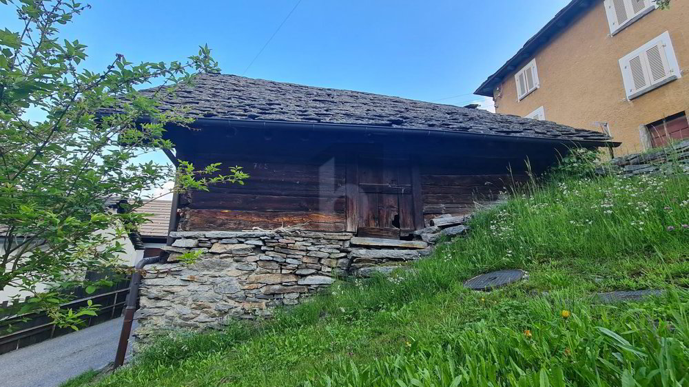 TRANQUILLO E SOLEGGIATO, CON PROGETTO - Ansicht 3