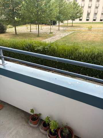 2 rooms Apartment for rent in Fribourg - image 1/6