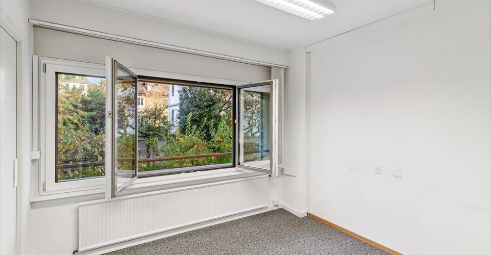 null rooms Office & Commercial for rent in Lausanne - image 1/13