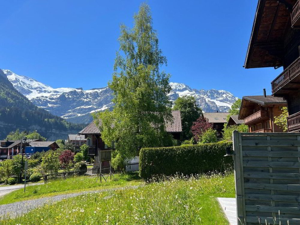 5.5 rooms House to buy in Champéry - image 1/6
