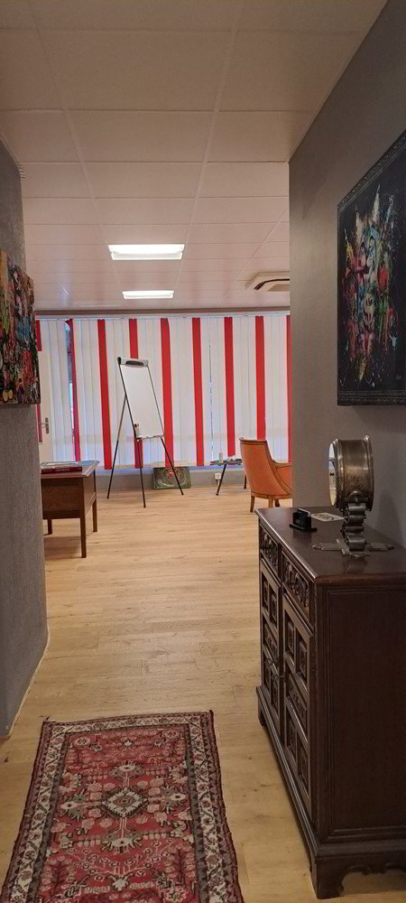 Ufficio & Commercio di null locali in vendita a Martigny - immagine 1/13