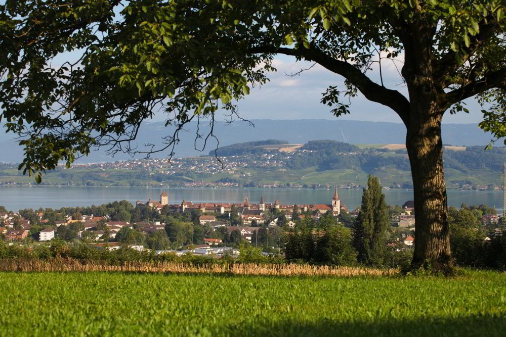4 rooms Apartment to buy in Murten - image 1/13