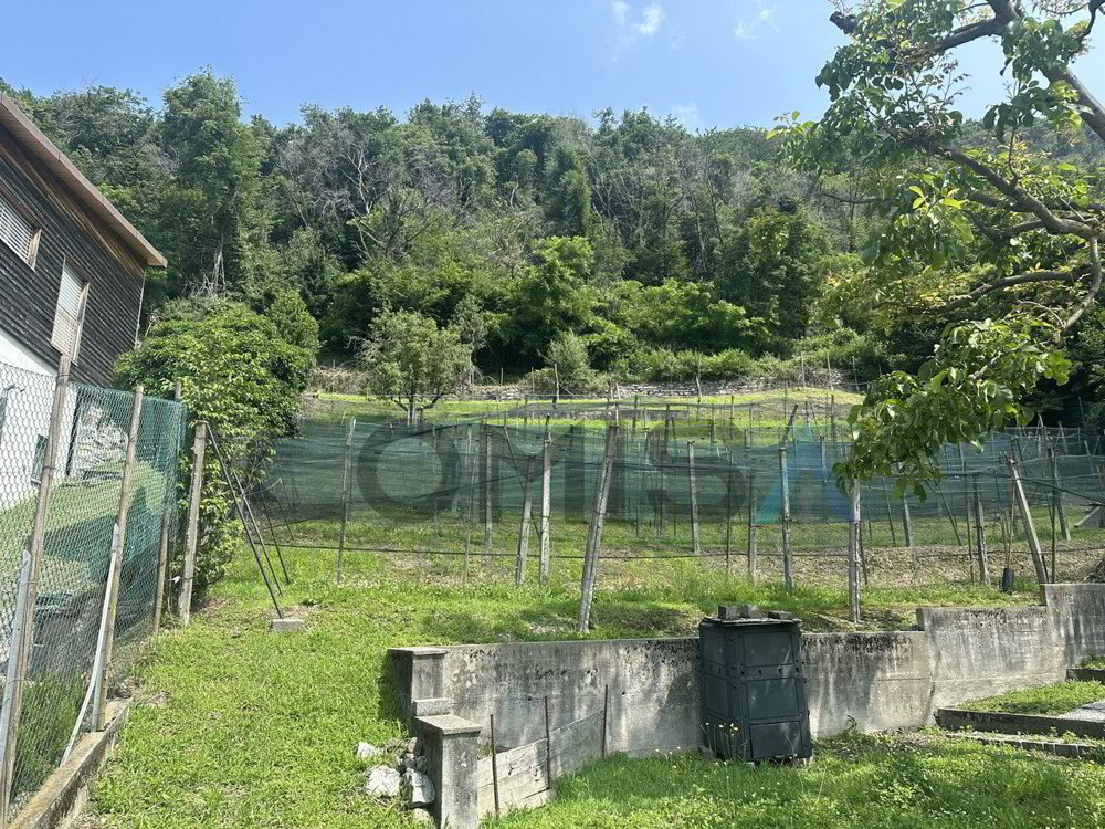 CASTEL SAN PIETRO - OBINO Baugrundstück mit Rustico - Ansicht 2