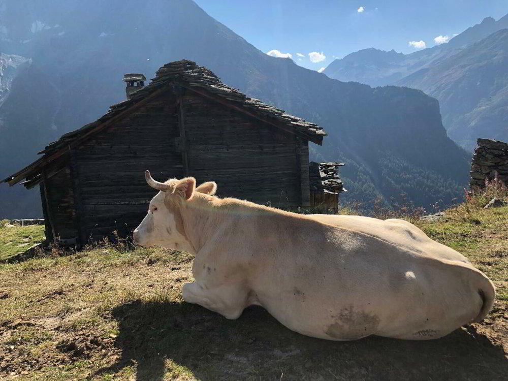 Haus – Evolène, La Fauchère - Ansicht 2