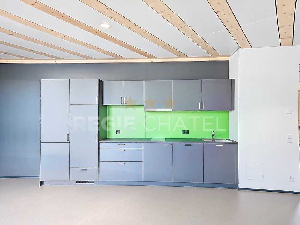 null rooms Office & Commercial for rent in Châtel-St-Denis - image 1/3