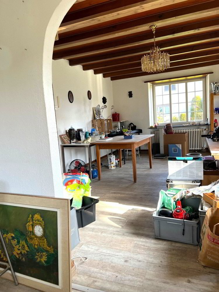 6 rooms House to buy in Wohlen AG - image 1/4