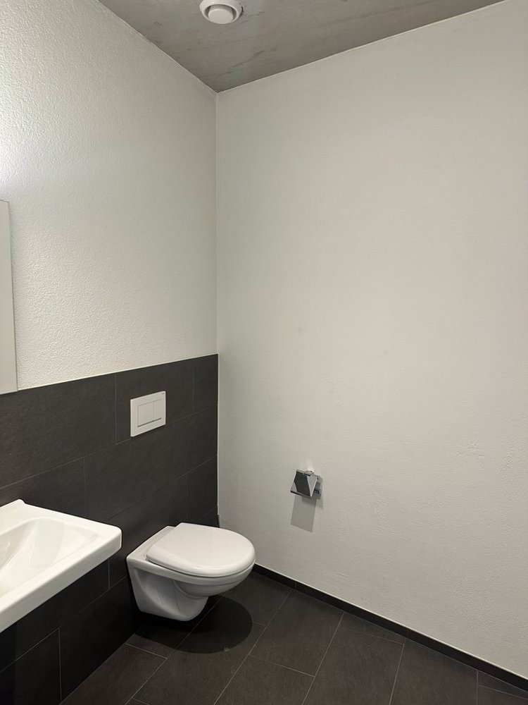 null Zimmer Büro zu vermieten in Heerbrugg - Bild 1/9