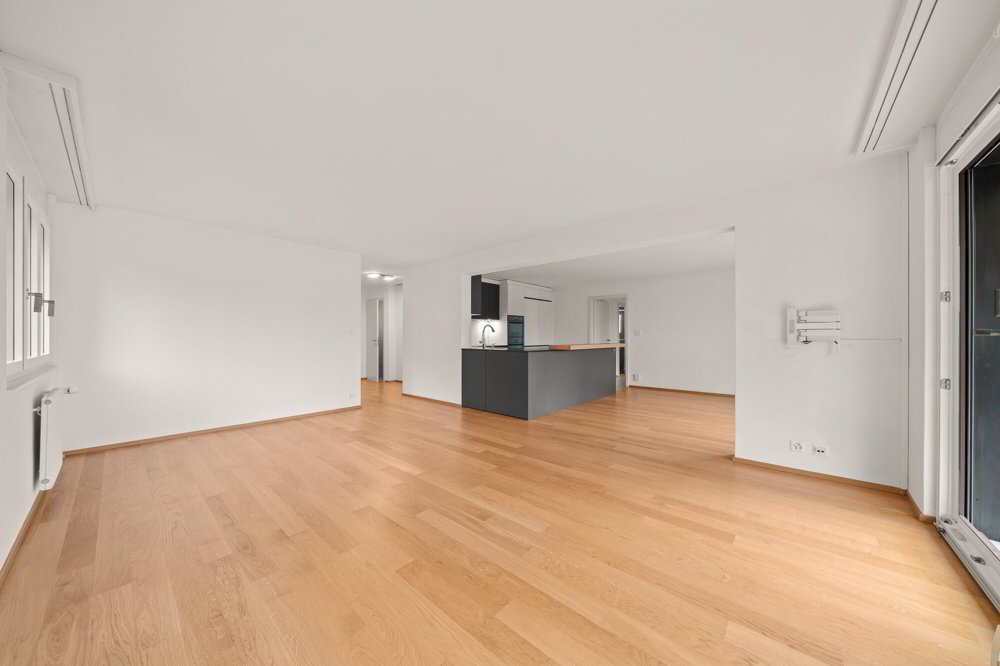 Wohnung – Montreux - Mehr